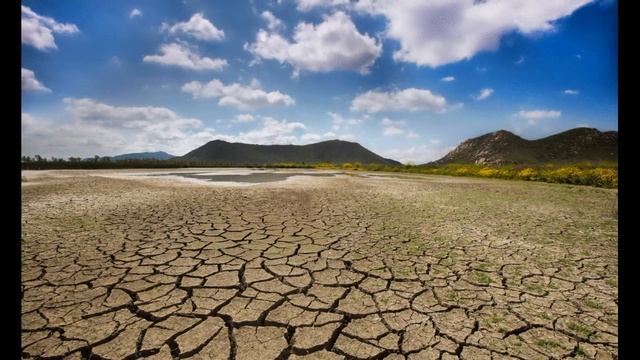 А вы знали, что у шарпея синий язык? смотреть онлайн