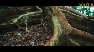 ТОП10 - чарт с 02.05.2024 по 07.05.2024