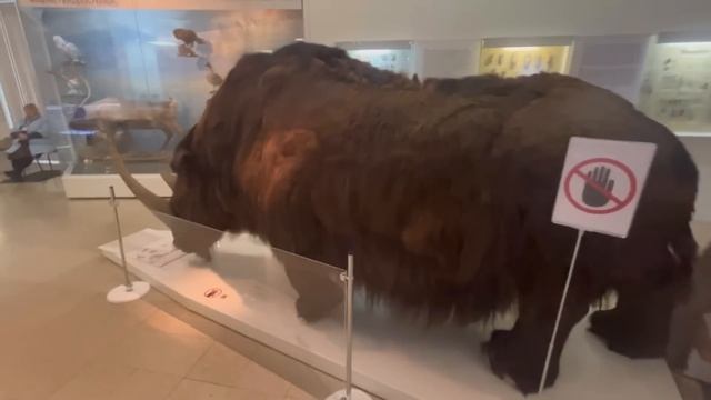 ??Из Алании в Челябинск. Непросто…Как проходит адаптация. смотреть онлайн