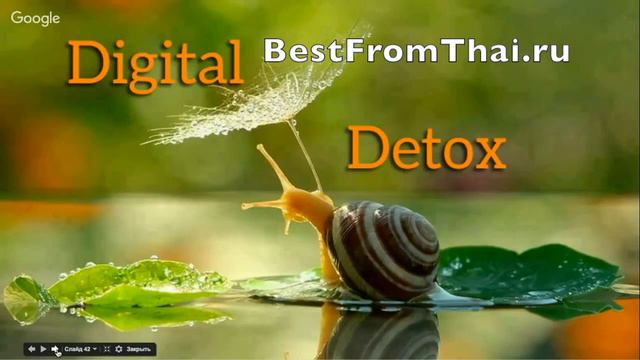 Светлое начало