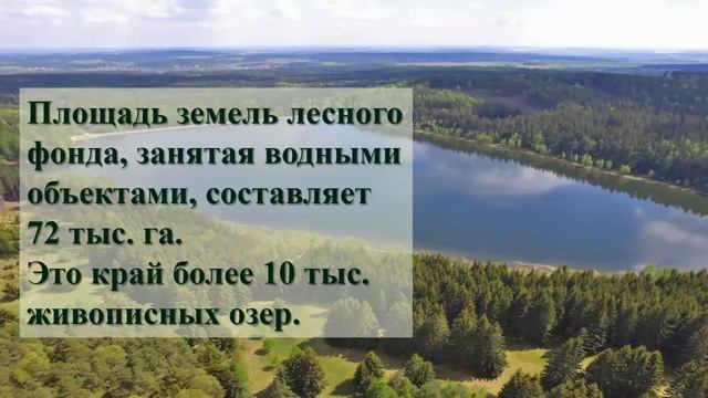 21 марта – Международный день лесов смотреть онлайн