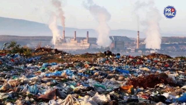 Социальный ролик на тему Экология Замятина Анастасия смотреть онлайн