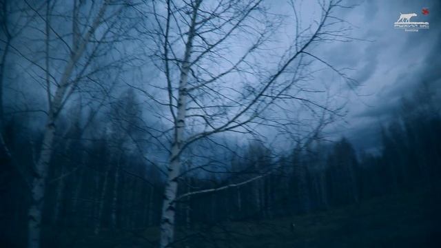 Охота с ЛЕГАВОЙ на вальдшнепа весной. Woodcock hunting. смотреть онлайн