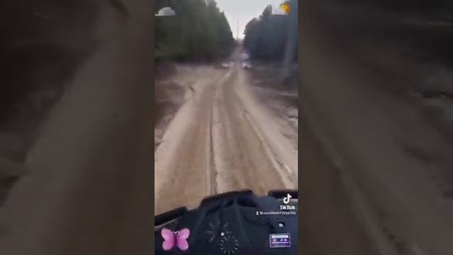 Дети обуздали квадроцикл СФ мото 450 макси