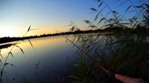 Мормышинг,Окунь на мотыль Berkley