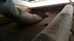 Как правильно утеплить / потолок в бане / Строим баню