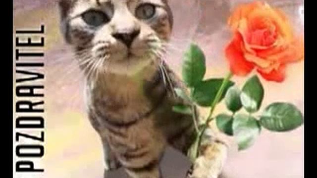 ЕВА,С ДНЁМ РОЖДЕНИЯ! смотреть онлайн