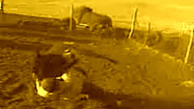 Бросок"мельница " смотреть онлайн