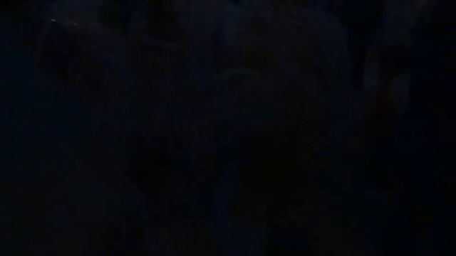 Детский праздник. Бумажное шоу в самом разгаре смотреть онлайн