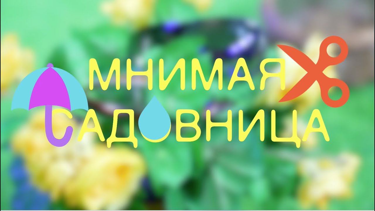 Спектакль "Мнимая садовница" в исполнении участников Молодежной программы смотреть онлайн