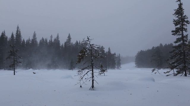 Зимний Машак смотреть онлайн
