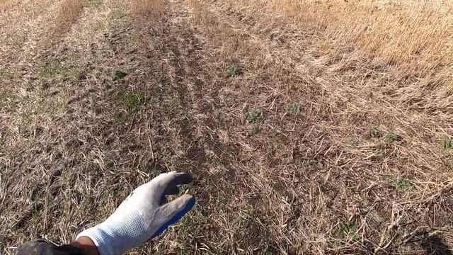 Сколько можно за день накопать металла. смотреть онлайн