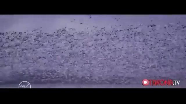 Robot 2 hind kinosi sepur tarjima ozbek tilida смотреть онлайн