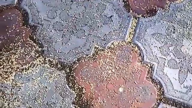 Муравьи в саду. Нам поможет пшено! И не только! смотреть онлайн