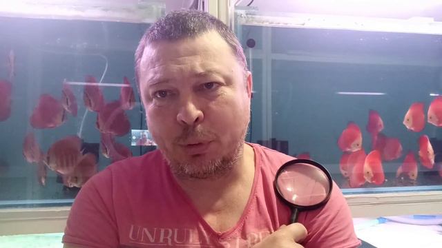 Спонтанная пигментация смотреть онлайн