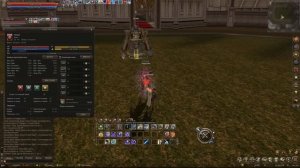 Top DPS - Phantom Summoner - НАГИБАЕТ ЧУЖИМИ РУКАМИ! Lineage 2 Essence #5