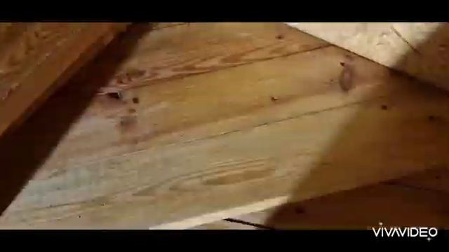 Как я развлекаюсь пока мужа нет дома. смотреть онлайн