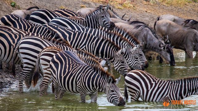Top 10 Natural Wonders Of The World | Amazing Natural Wonders - Travel Video