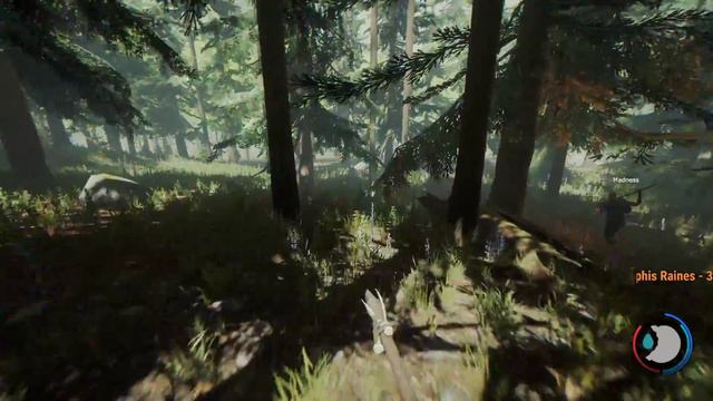 THE FOREST ВЫЖИВАЕМ НА ОСТРОВЕ ЧАСТЬ ПЕРВАЯ смотреть онлайн