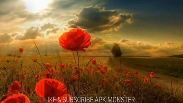 Wallpapers for pc/android HD by |APK MONSTER