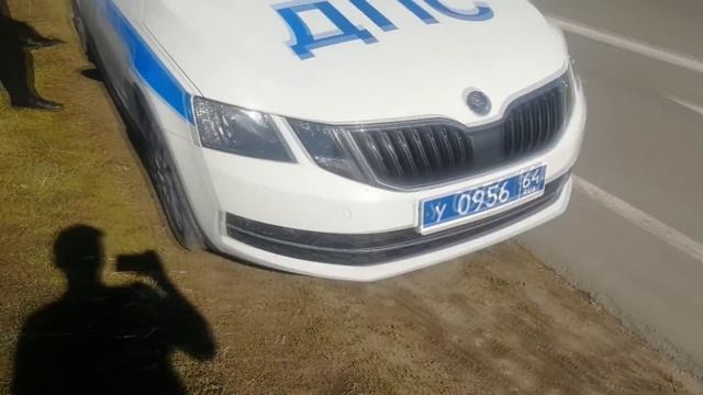 / Как в России наказать пастуха "КАМЕРЫ ТРЕНОГИ" по закону / смотреть онлайн