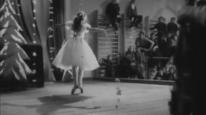 Дикая собака динго