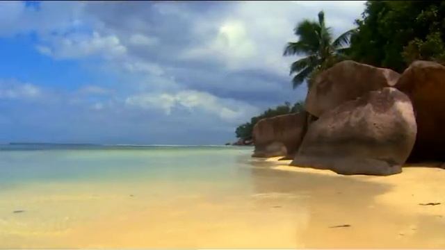 Детский сад № 321 Занятие "Времена года" смотреть онлайн