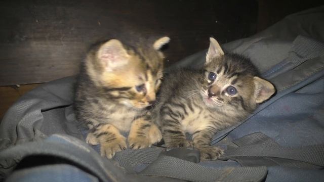 нашла куда заныкать смотреть онлайн