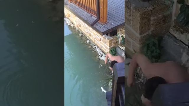 Рыбалка в Небуге Краснодарский край платный пруд :)) смотреть онлайн