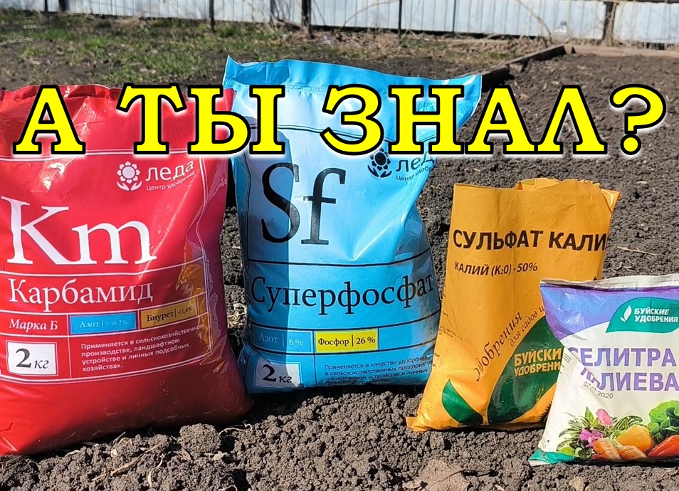 Весенняя подкормка огорода: ПРАВИЛЬНЫЕ УДОБРЕНИЯ ??? смотреть онлайн