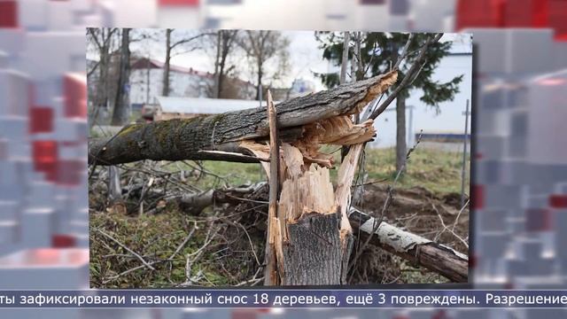 21.11.2023 Дайджест