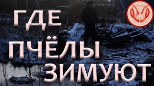 Зимовник омшанник на скорую руку. Лёгкая конструкция для зимовки пчелиных семей.