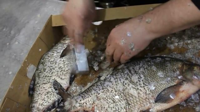 Как почистить рыбу от чешуи / How to clean the fish смотреть онлайн