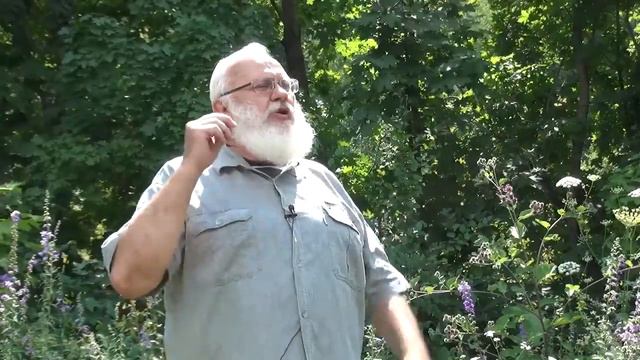 Журналюгин-2014. Спасите лес. Ролик 2 смотреть онлайн