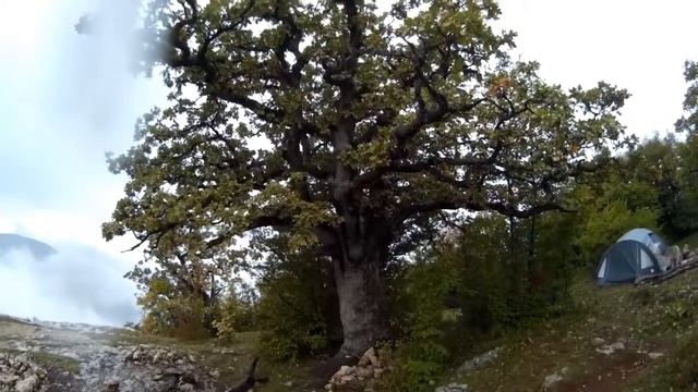 Mountain Boyko views. Гора Бойко виды. смотреть онлайн