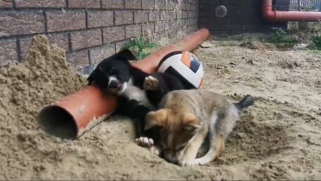 WhatsApp Video 2024-08-10 At 16.16.25 (1)