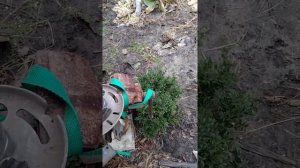 пежо 308 2016г уберем стук на передней подвеске