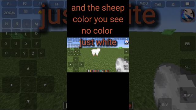 How to to fix White bug banner and color of sheep смотреть онлайн