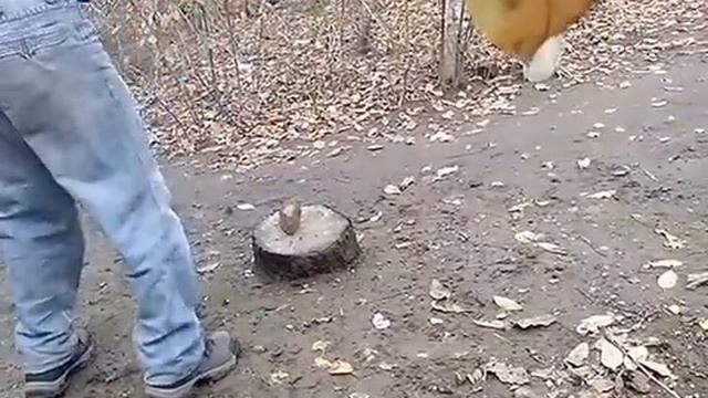 Как разбить камень? смотреть онлайн