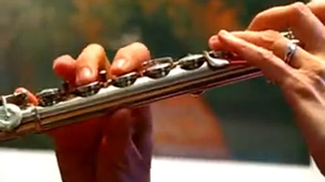 Pearl Elegante 785 ( Elegante 795 ) Used Flute Demo (Low-Mid Register) смотреть онлайн