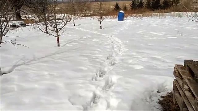31 марта,заготовка снега для талой воды смотреть онлайн