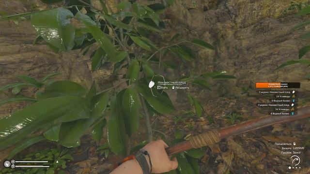 Выживаем в джунглях. Green Hell: The Spirits of Amazonia. часть 4 [1440] смотреть онлайн