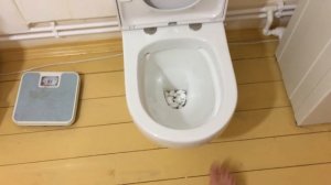 ЛАЙФХАК !!! СТОП брызги!!! :) УНИТАЗ!