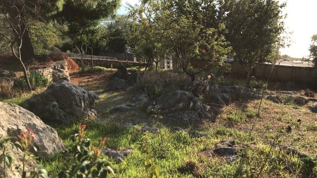 Утро на берегу Ионического моря, Греция | Morning on the Ionian Sea (Galaxidi, Greece) #SunriseEart смотреть онлайн