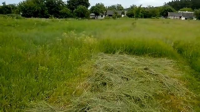 Продам участок 15соток с.Скоморохи Житом.обл.7000$ смотреть онлайн