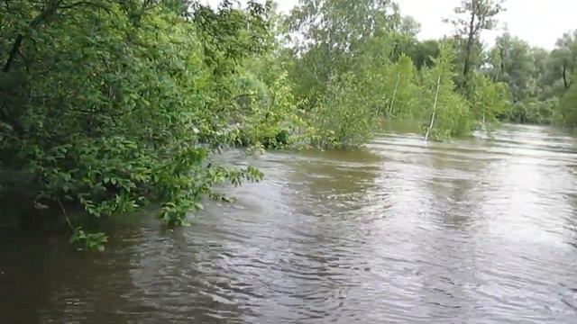 Нижний Суэтук - 09.06.2020г. 2сер. Оя прёт. смотреть онлайн