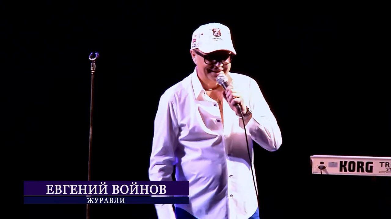 Любимая песня - Журавли - Евгений Войнов (концерт в ОДО) смотреть онлайн