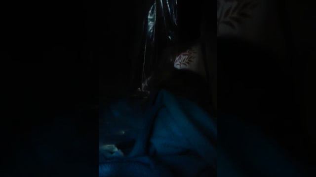 Котёнок Твикс смотреть онлайн