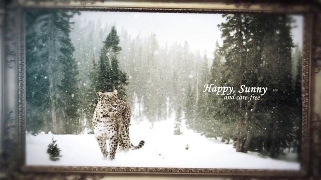 Videohive Gallery Of Dreams Parallax Slideshow - DIZAYNPROJECT.mp4