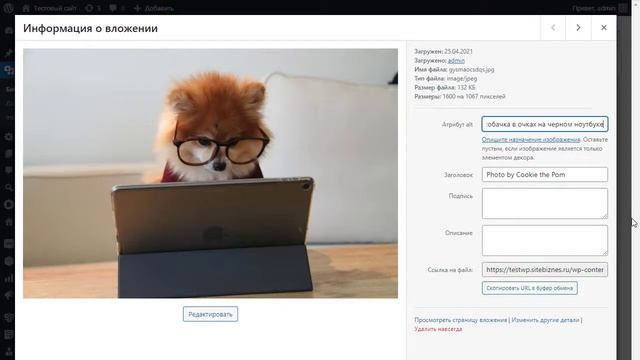 Как легко и просто добавить изображения с Unsplash на ваш сайт WordPress смотреть онлайн